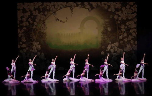 舞動經(jīng)典 以舞今信息為媒，重賞歌劇名篇新境